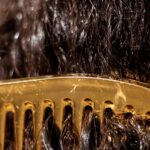 Cómo se ven y cómo evitarlos