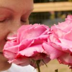 El nuevo limpiador Rosy de Pamela Anderson ofrece un “pedazo de hogar” dondequiera que esté